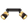 Globo OR Ceiling Light black, 2-light sources