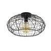 Connect Ceiling Light brown, black, 1-light source