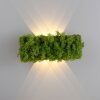 Leuchten-Direkt GREEN CARLO Wall Light LED silver, 6-light sources