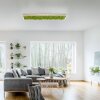 Leuchten-Direkt GREEN KNUT Ceiling Light LED silver, 1-light source
