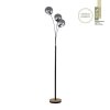 Leuchten-Direkt GREEN WIDOW Floor Lamp Ecru, black, 3-light sources