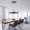 Paul-Neuhaus PURE E-CLIPSE Pendant Light LED grey, 2-light sources, Remote control
