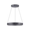 Paul-Neuhaus PURE E-CLIPSE Pendant Light LED grey, 2-light sources, Remote control