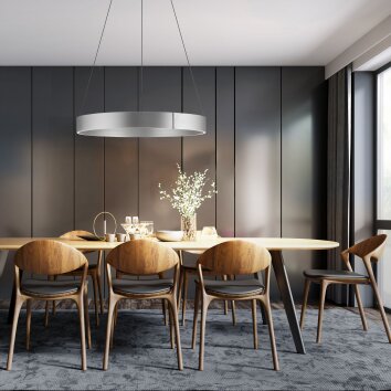 Paul-Neuhaus PURE E-CLIPSE Pendant Light LED silver, 2-light sources, Remote control