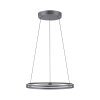 Paul-Neuhaus PURE E-LOOP Pendant Light LED grey, 2-light sources, Remote control