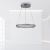 Paul-Neuhaus PURE E-LOOP Pendant Light LED grey, 2-light sources, Remote control