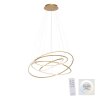 Paul-Neuhaus TESSARA Pendant Light LED gold, 1-light source, Remote control