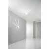 Lutec SHANGHAI Ceiling Light LED white, 3-light sources