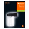 LEDvance ENDURA Outdoor Wall Light black, 1-light source