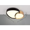 Trio RISE Ceiling Light LED black-gold, 1-light source, Remote control