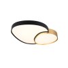 Trio RISE Ceiling Light LED black-gold, 1-light source, Remote control