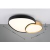 Trio RISE Ceiling Light LED black-gold, 1-light source, Remote control