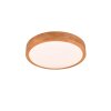 Trio ISEO Ceiling Light LED Light wood, 1-light source