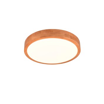 Trio ISEO Ceiling Light LED Light wood, 1-light source