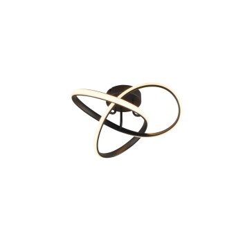 Reality MEO Ceiling Light LED black, 1-light source