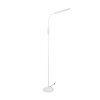 Reality TORO Floor Lamp LED white, 1-light source