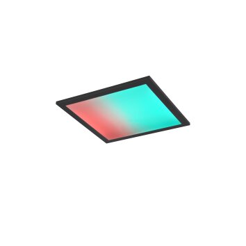 Reality BETA Ceiling Light LED black, 1-light source, Remote control, Colour changer
