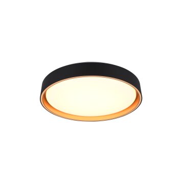 Reality FELIS Ceiling Light LED black-gold, 1-light source, Remote control