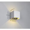 Reality TALENT Outdoor Wall Light LED titanium, 2-light sources, Motion sensor