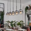 Gastor Pendant Light - glass 15 cm clear, Smoke-coloured, 5-light sources