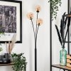 Bernado Floor Lamp - glass 12 cm Amber, 3-light sources