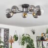 Chehalis Ceiling Light - glass 10 cm, 12 cm, 15 cm gold, black, 6-light sources