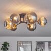 Chehalis Ceiling Light - glass 10 cm, 12 cm, 15 cm gold, black, 6-light sources