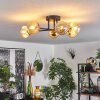 Chehalis Ceiling Light - glass 15 cm gold, black, 6-light sources