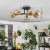 Chehalis Ceiling Light - glass 10 cm gold, black, 6-light sources
