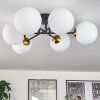 Chehalis Ceiling Light - glass 15 cm gold, black, 6-light sources