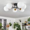 Chehalis Ceiling Light - glass 15 cm gold, black, 6-light sources