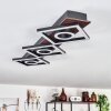 Taboneira Ceiling Light LED dark brown, black, 3-light sources
