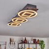 Taboneira Ceiling Light LED dark brown, black, 3-light sources