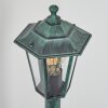 Loria path light green, black, 1-light source