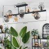 Chehalis Ceiling Light - glass 10 cm, 12 cm, 15 cm Amber, Smoke-coloured, 10-light sources
