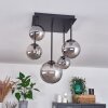 Chehalis Ceiling Light - glass 10 cm, 12 cm, 15 cm Smoke-coloured, 5-light sources