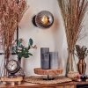 Chehalis Wall Light - glass 15 cm Smoke-coloured, 1-light source