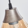 Echallens Pendant Light silver, 5-light sources