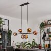 Fuensalida Pendant Light black, 6-light sources