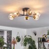 Chehalis Ceiling Light - glass 10 cm gold, black, 6-light sources