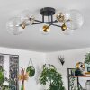Chehalis Ceiling Light - glass 10 cm, 12 cm, 15 cm gold, black, 6-light sources