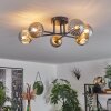 Chehalis Ceiling Light - glass 10 cm gold, black, 6-light sources