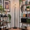 Bernado Floor Lamp - glass 10 cm clear, 3-light sources