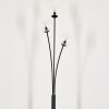 Bernado Floor Lamp - glass 10 cm clear, 3-light sources