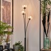 Bernado Floor Lamp - glass 10 cm clear, 3-light sources