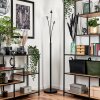 Bernado Floor Lamp - glass 12 cm clear, 3-light sources