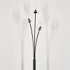 Bernado Floor Lamp - glass 12 cm clear, 3-light sources