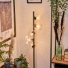 Remaisnil Floor Lamp - glass 15 cm clear, 5-light sources