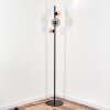 Remaisnil Floor Lamp - glass 10 cm, 15 cm Amber, Smoke-coloured, 3-light sources