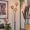 Bernado Floor Lamp - glass 12 cm Smoke-coloured, 3-light sources